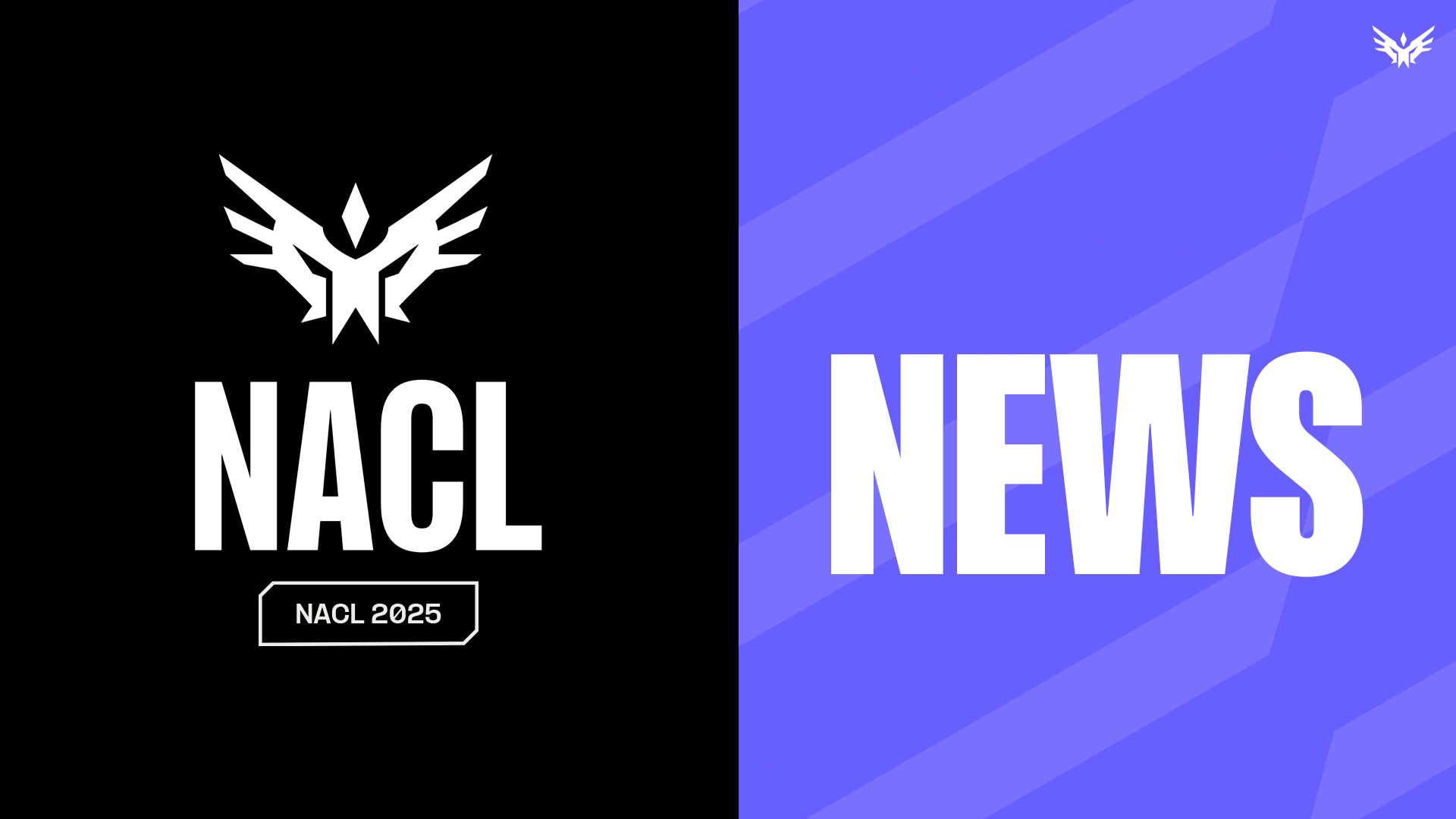 NACL NEWS